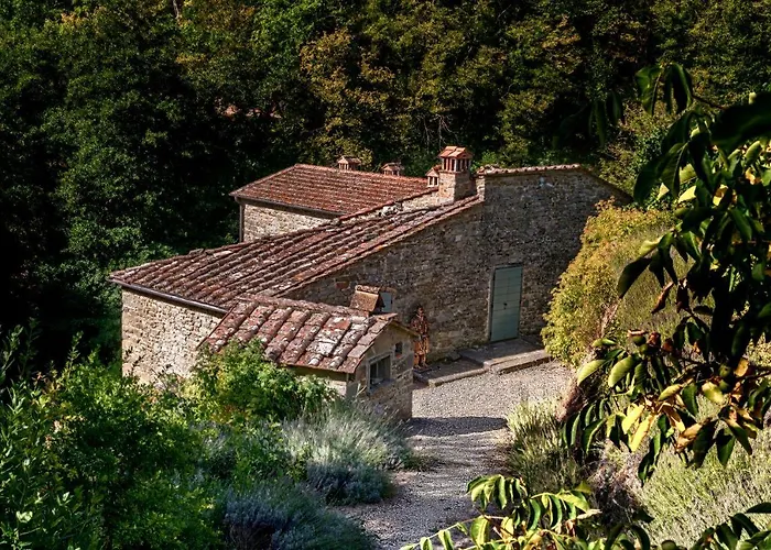 il Friscello